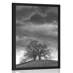 Plakat črnobela samotna drevesa - 60x90 no frame
