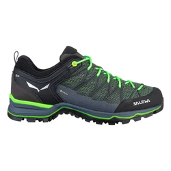 Salewa MTN TRAINER LITE GTX, planinarske cipele, zelena 61361