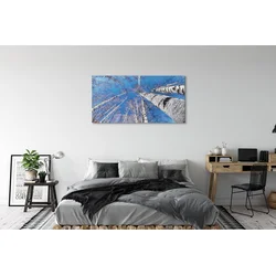 tulup.si Slika na platnu Breza nebo 120x60 cm