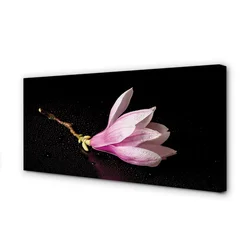 tulup.si Slika na platnu Cvet vode 120x60 cm