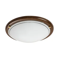 Brilagi - Plafonsko svetlo ORBIS 2xE27/60W/230V, prečnik 38 cm, od borovine