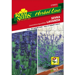 SEME ROYAL SEEDS 31 Sivka