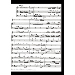 TELEMANN:KONZERT C-DUR ALTBLOCK.FL.