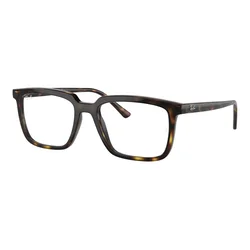 Ray-Ban RX7239 2012