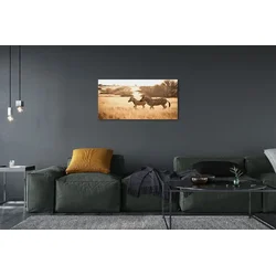 tulup.si Slika na platnu Zebra polje sunset 100x50 cm