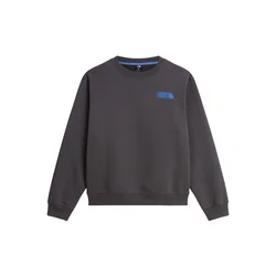 THE NORTH FACE Majica grafit