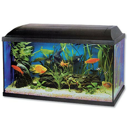 CAT-GATO akvarij in dodatki (100x30x40cm)