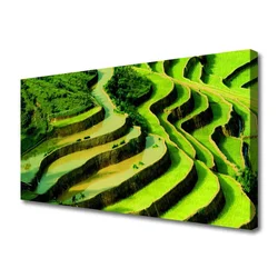 tulup.si Slika na platnu Rice field forest narava 120x60 cm