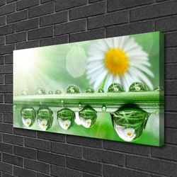 tulup.si Slika na platnu Dew leaf narava daisies 100x50 cm