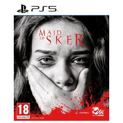 PS5 Maid of Sker