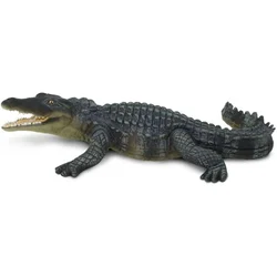 Safari Krokodil