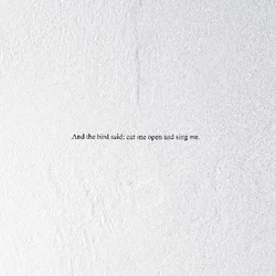 Prairie - And the Bird Said: Cut Me Open and Sing Me (High Quality) (LP)