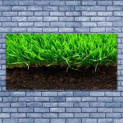 tulup.si Slika na platnu Grass nature rastlin 140x70 cm