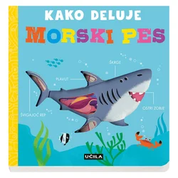 Učila Kako deluje - morski pes