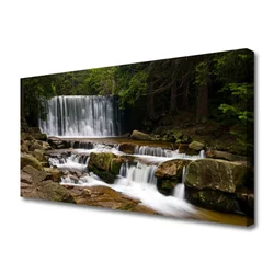 tulup.si Slika na platnu Forest slap narava 120x60 cm