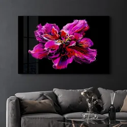 Wallity slika CAM-2000, 35 x 55 cm