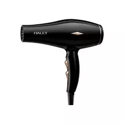 HALEY HY4031 Fen 2200W