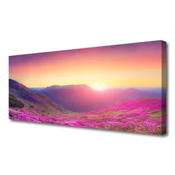 tulup.si Slika na platnu Sun mountain travnik narava 125x50 cm