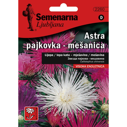 Semenarna Ljubljana astra pajkovka  D2260, mala vrećica