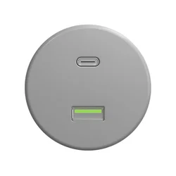 Reblig - Retro USB utičnica A+C bez okvira siva