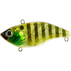 Rapture SL VIBE 50mm 14gr HGS