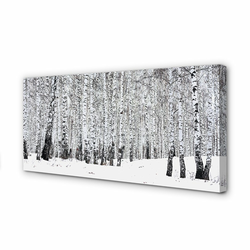 tulup.si Slika na platnu Zimske breze 100x50 cm