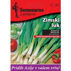 Semenarna Ljubljana luk M. V. Azija 601 Stoljetni (zimski luk)