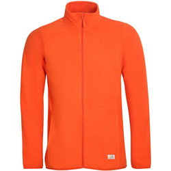 Alpine Pro Shemid