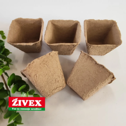 ŠOTNI LONČEK 6X6 CM