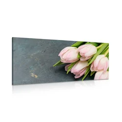 Slika pastelni rožnati tulipani - 100x50
