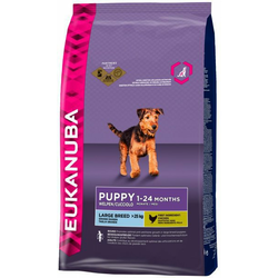 EUKANUBA Puppy Junior Large Breed, 15 kg