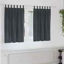 Zavjese za zamračivanje 2 pcs Svijetlo siva 140 x 140 cm Baršun