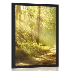 Plakat s paspartujem sončni žarki v gozdu - 60x90 black