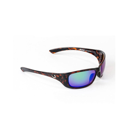 Polarized Sunglasses Style 104A03