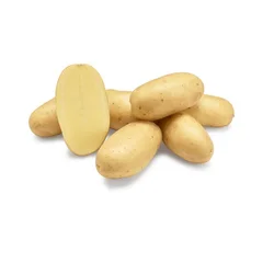 Semenski krompir Levante, 5kg