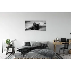tulup.si Slika na akrilnem steklu Cat pod odejo 120x60 cm 4 obešalnika