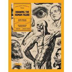 Drawing the Human Figure