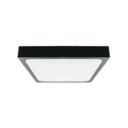LED kupatilsko stropno svetlo LED/30W/230V 6500K IP44 42x42 cm crna