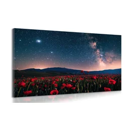 Slika travnik maka pod zvezdami - 60x40