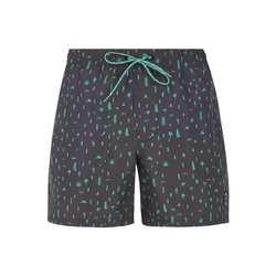Mens beach shorts Protest PRTGROM