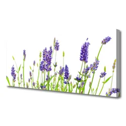 tulup.si Slika na platnu Rože na steni 125x50 cm