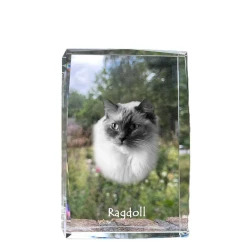 Artdog Ragdoll - kristal s fotografijo mačke, fotografija v steklu, sodobna fotografska razstava Art-Dog
