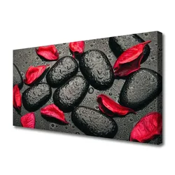 tulup.si Slika na platnu Kosmiči stones art 140x70 cm