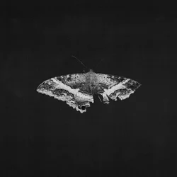 Kendrick Lamar - To Pimp a Butterfly
