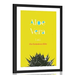 Plakat s paspartujem čudežna Aloe Vera - 30x45 black