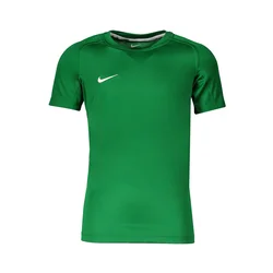 NIKE Funkcionalna majica zelena/bela