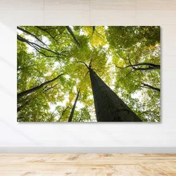 Slika Wallity DEV03455100140, 100x140 cm