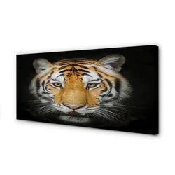 tulup.si Slika na platnu Tiger 140x70 cm