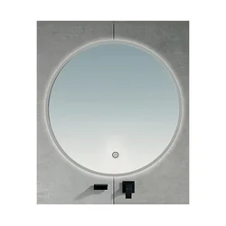 BRILAGI - LED ogledalo za kupatilo VENA SILVER LED/19W/230V O 60 cm IP44 prigušiva + CCT