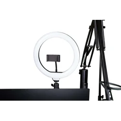 Gator Frameworks ID Series Creator Tree Ring Light Fixture